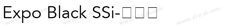 Expo Black SSi字体转换